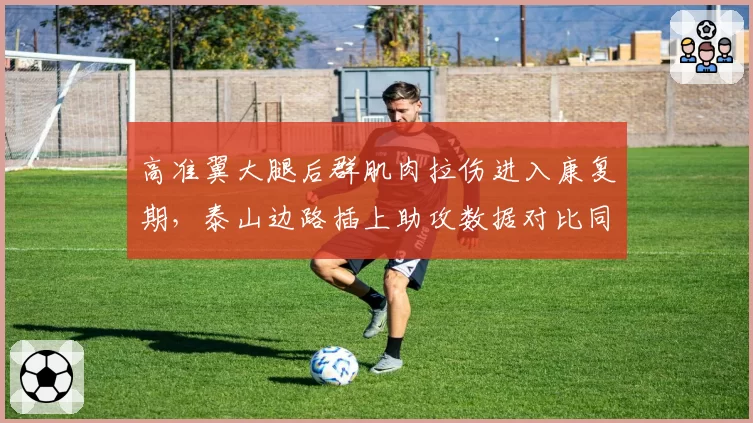 高准翼大腿后群肌肉拉伤进入康复期，泰山边路插上助攻数据对比同期缩水六成