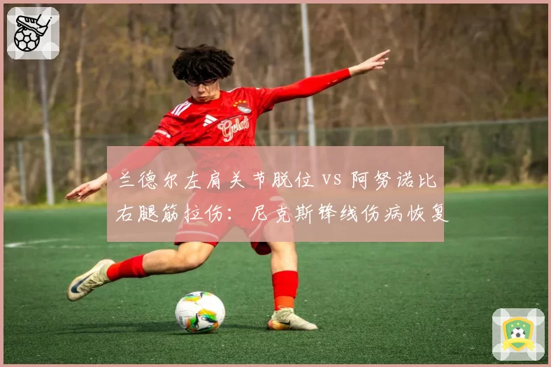 兰德尔左肩关节脱位 vs 阿努诺比右腿筋拉伤:尼克斯锋线伤病恢复进度全面解析