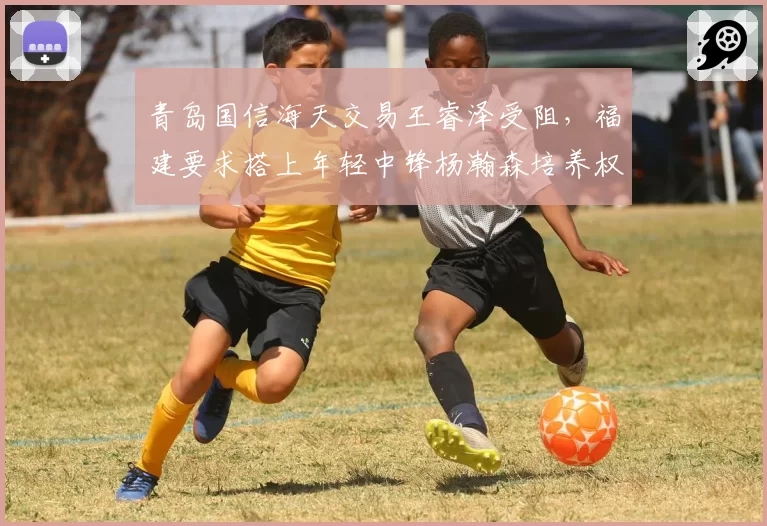 青岛国信海天交易王睿泽受阻，福建要求搭上年轻中锋杨瀚森培养权